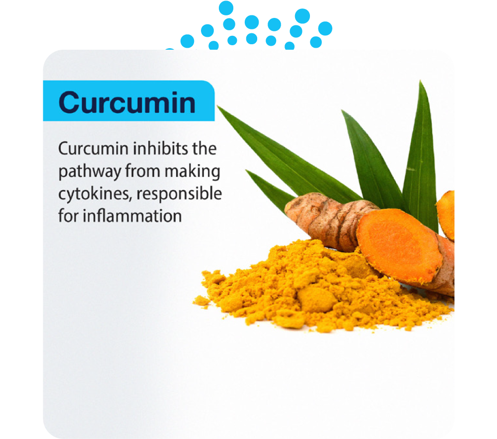 Turmeric root and powder with text about curcumin's anti-inflammatory properties on a white background.