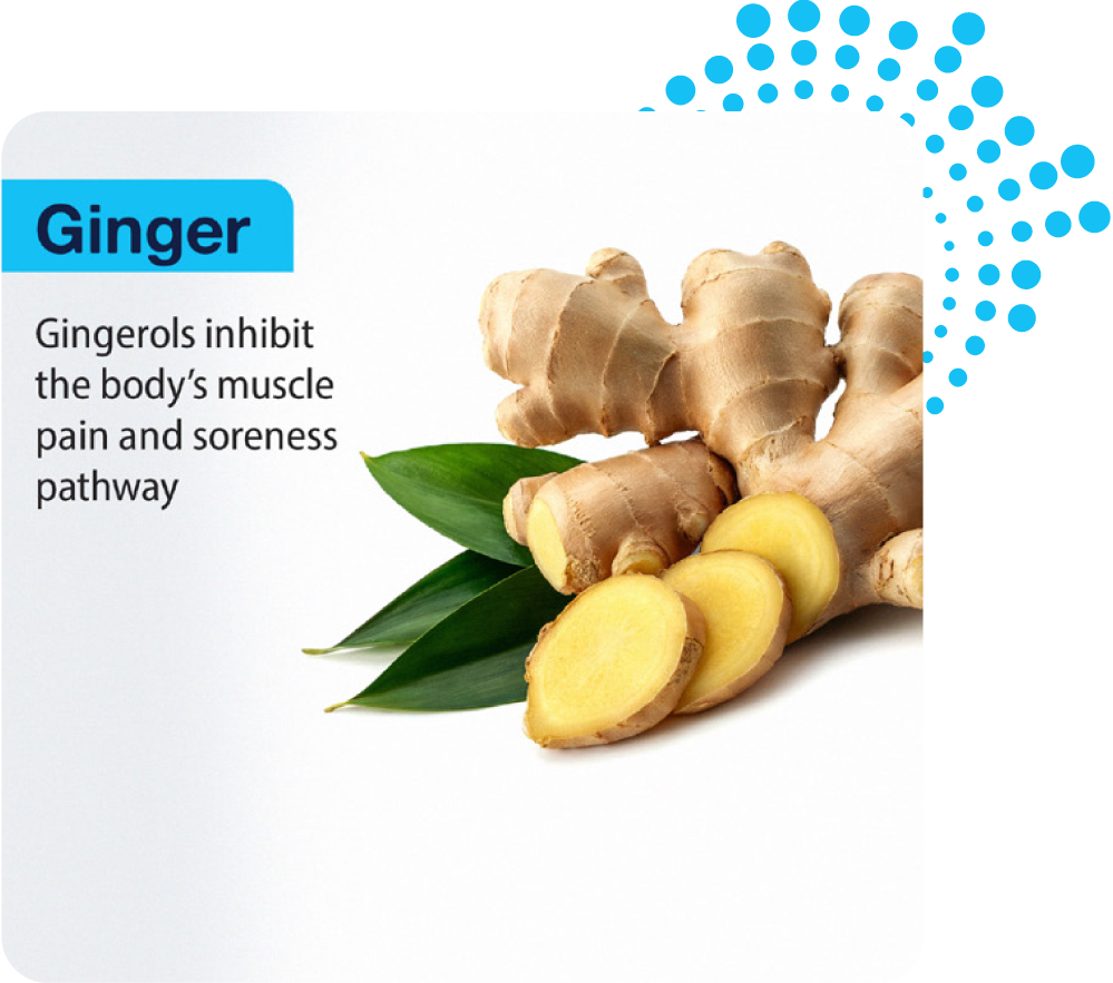 Sliced fresh ginger root with green leaves, used in AKBA 3.0 to provide gingerols that help inhibit the body's muscle pain and soreness pathways for faster recovery.